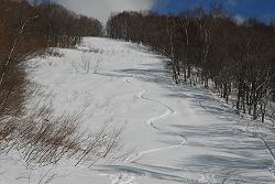 五輪山　ごりん高原　2013年2月10日