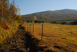 登山道