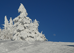 根子岳　2013年2月23日