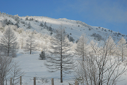 湯の丸山　2013年1月20日