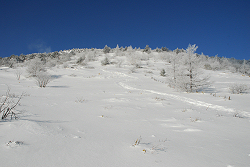 湯の丸山　2013年1月20日