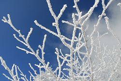 湯の丸山　2013年1月20日