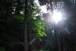 小菅山　2013年6月23日