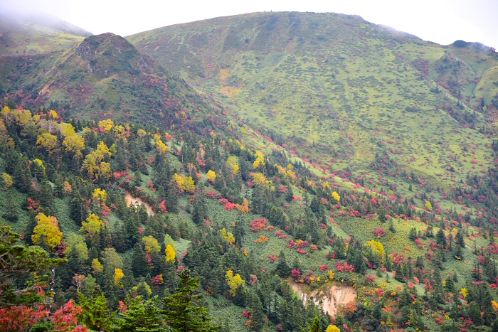志賀高原 白根山 2018年9月30日