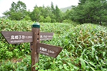 烏帽子岳 2020年7月12日