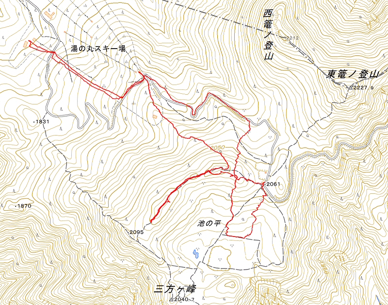 池の平湿原 2020年4月12日