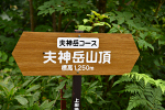 夫神岳 2020年7月29日