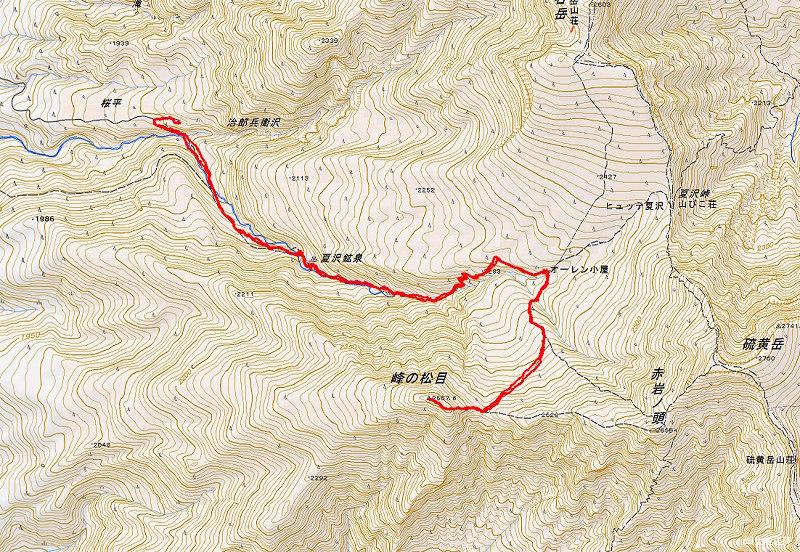 峰の松目 2022年11月13日