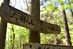 大林山 2023年5月4日