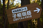 子檀嶺岳 2023年11月19日