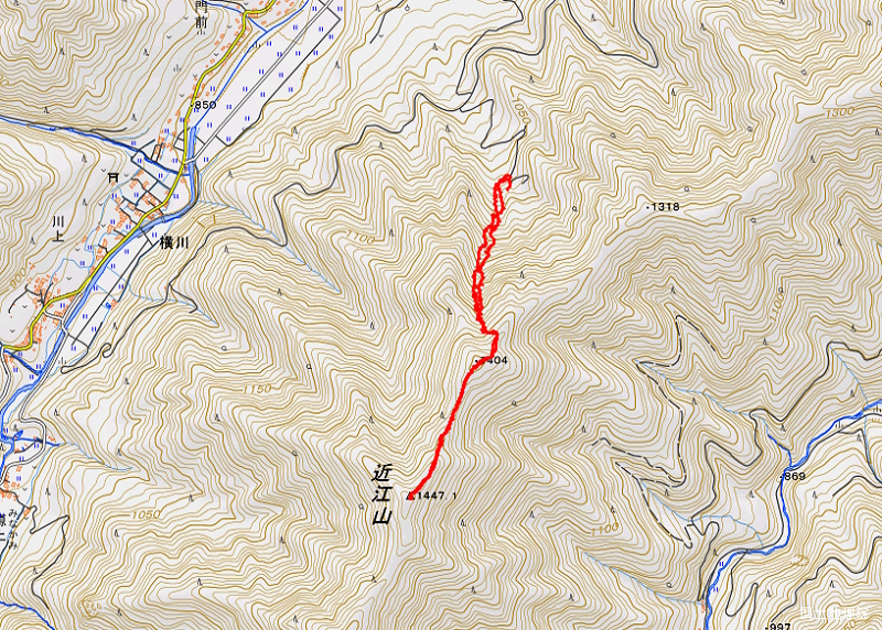 近江山 2024年5月19日