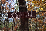 愛宕山 2024年12月1日