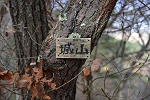 城山 三ツ頭山 2024年12月1日