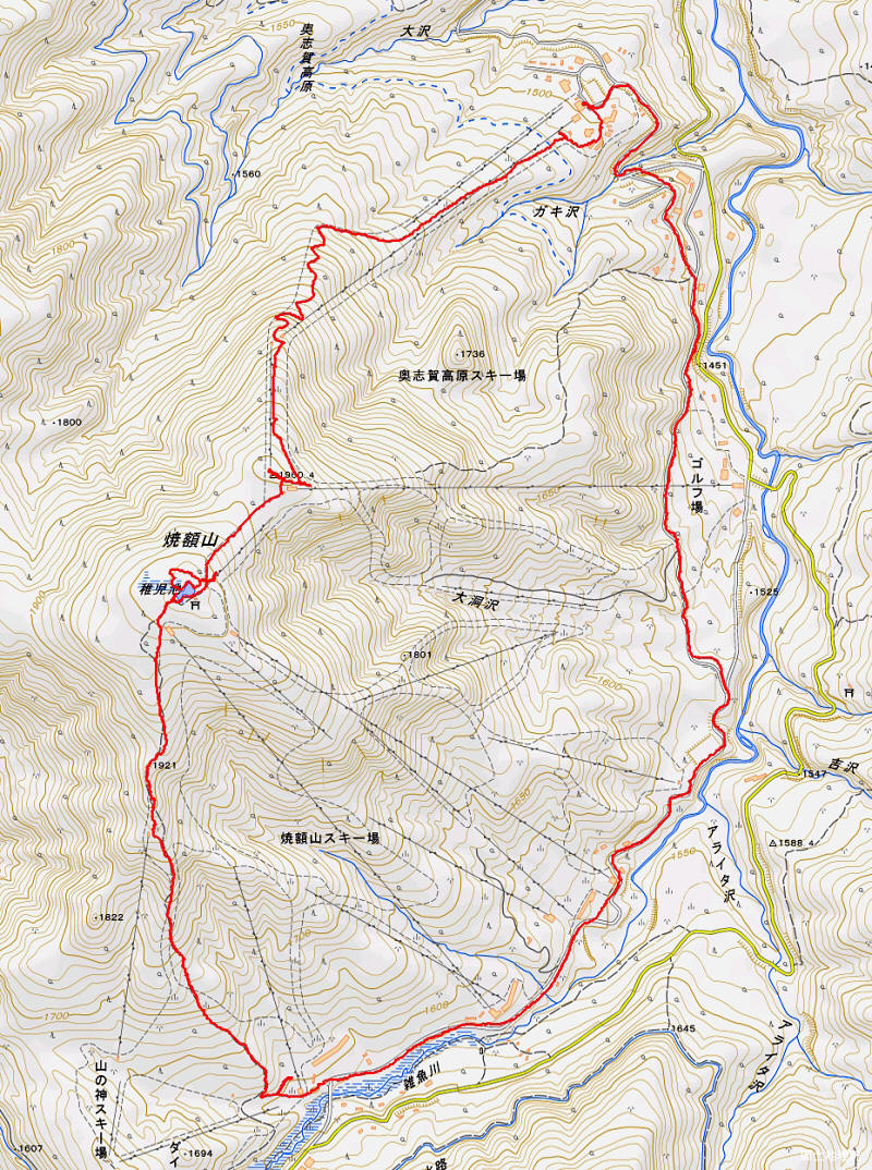 焼額山 2025年8月14日